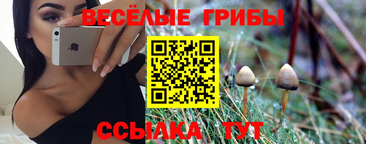 Псилоцибиновые грибы ЛСД Каспийск